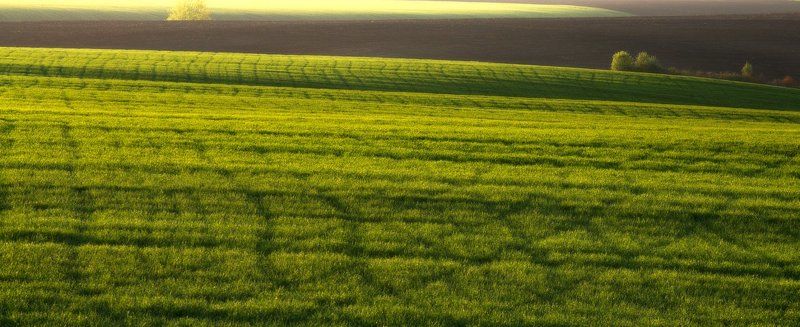 Майские линии...photo preview