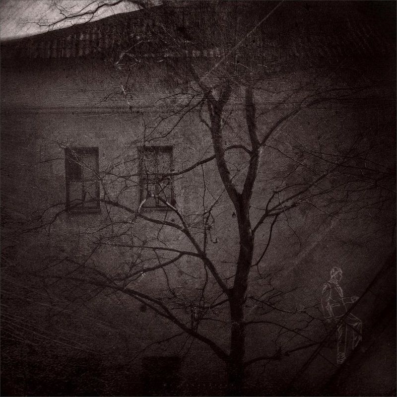 Повесть о ненастоящем человекеphoto preview