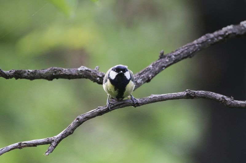 Hard workphoto preview