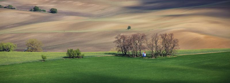 поле весна волны чехия каплица Мистринphoto preview