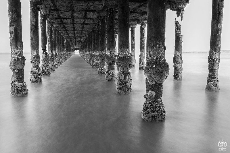 sea,nature,rock,water,calm,landscape,iran,dream,fog,abstract,canon,canon80d,canonphotography,blackandwhite,black,white,mphammadhemmaty,corridor Corridor in the seaphoto preview