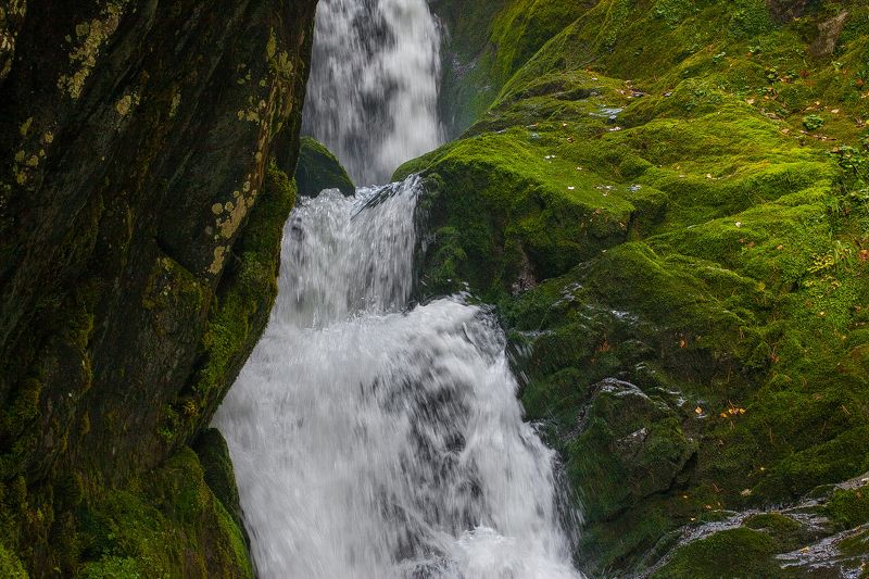 #furslyubov, #фурслюбовь, #весна, #лето, #алтай, #fototipsru Водопад Эстюбе. Телецкое озеро. Алтай. 2016гphoto preview