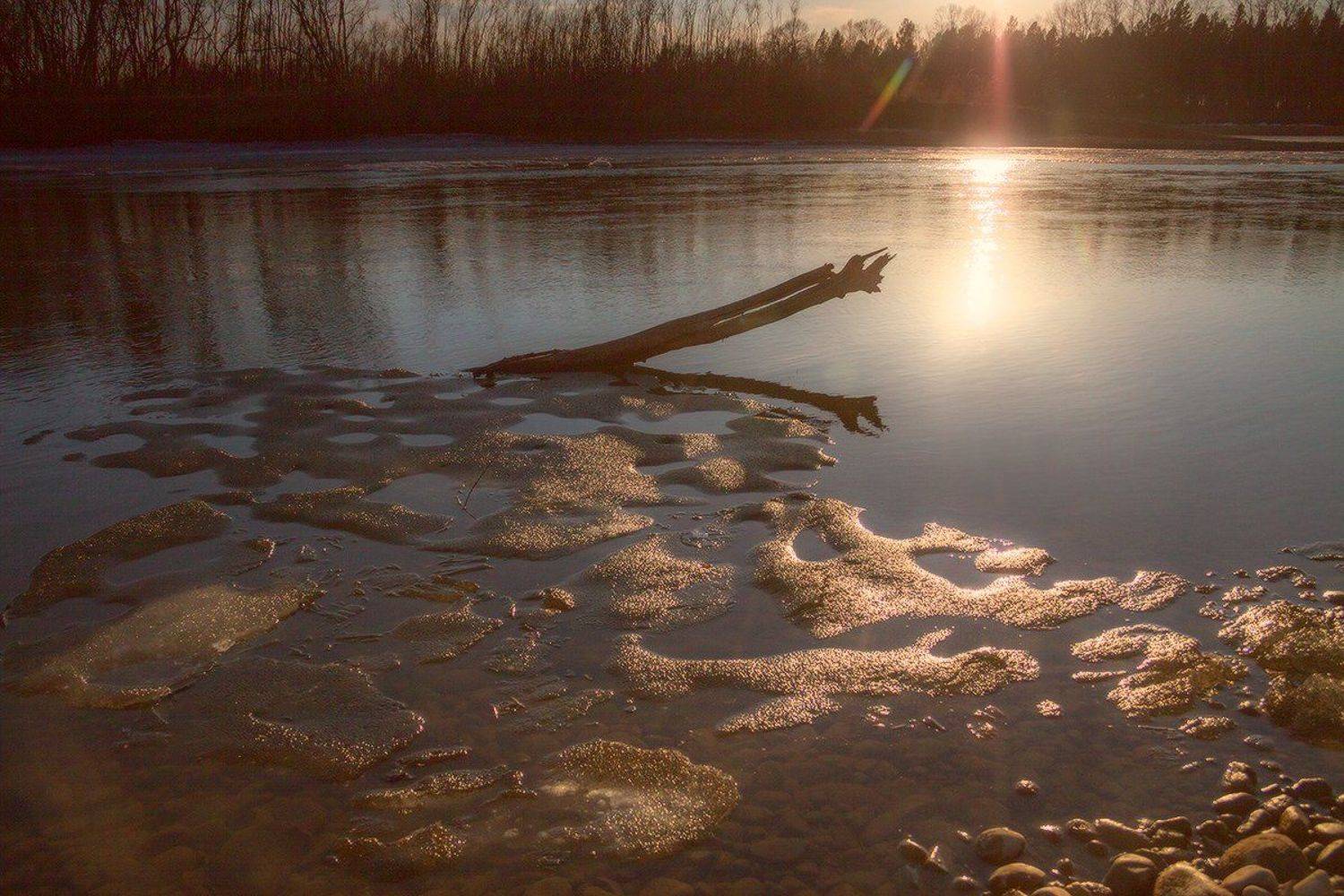 , Николай Морский