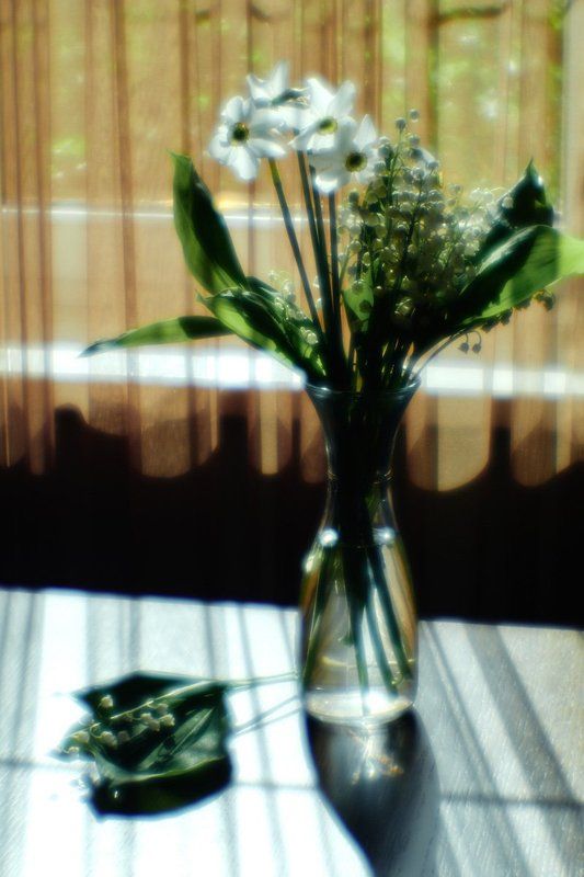 Солнечные тениphoto preview