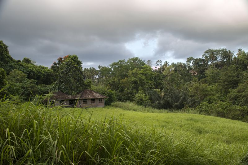 Тропики Балиphoto preview