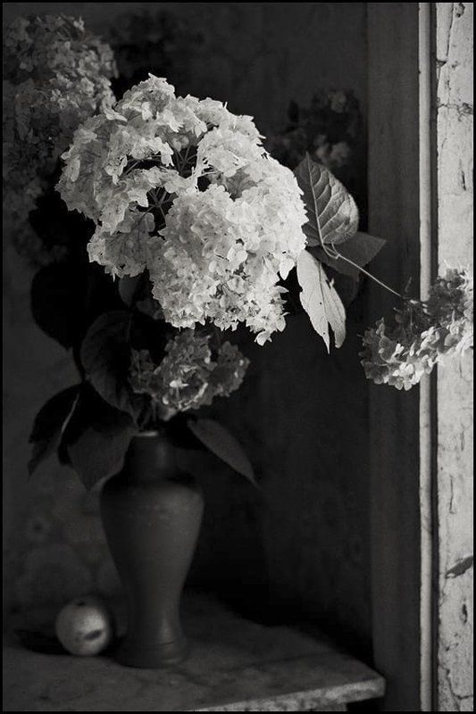 Натюрморт с зеленым яблокомphoto preview