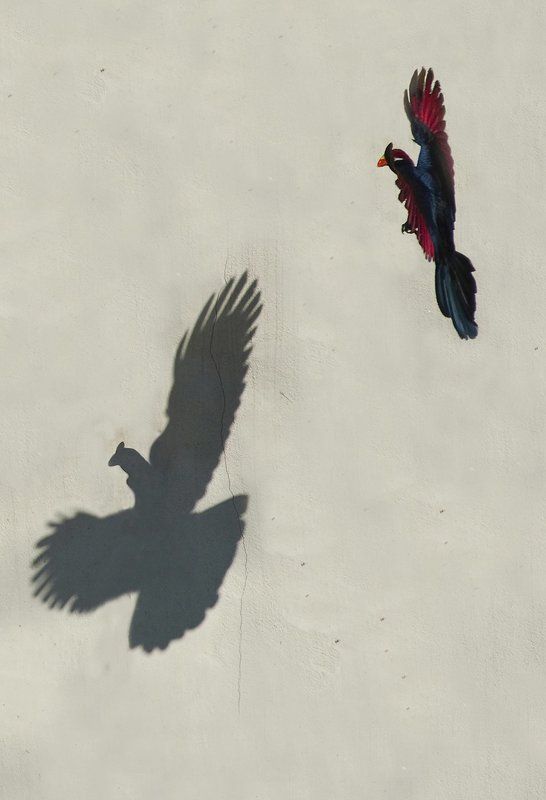 Untitled#*1photo preview