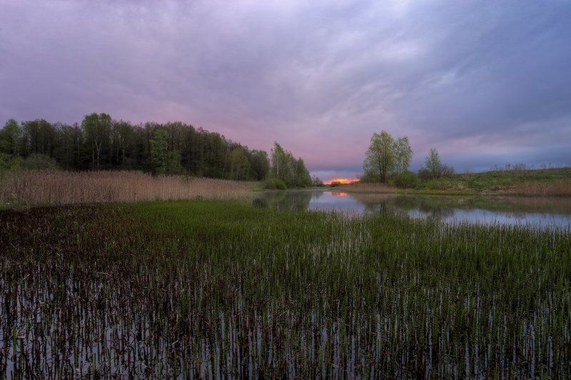 весна,небо photo preview