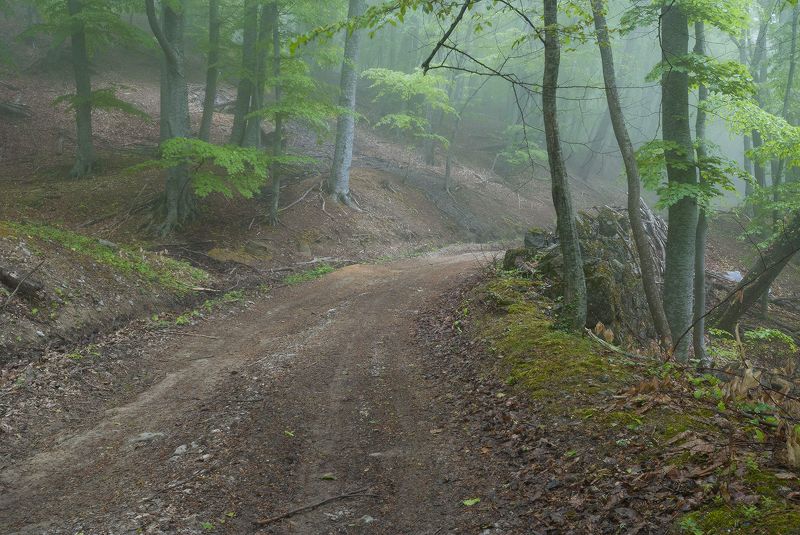 По Романовской дороге....photo preview