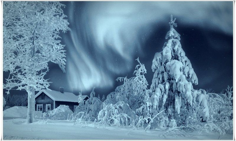 Зимняяphoto preview