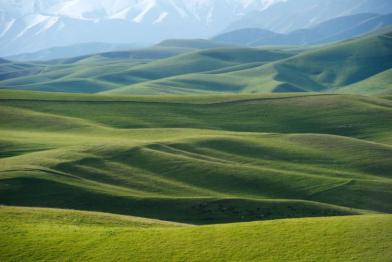 На холмах у Бишкекаphoto preview