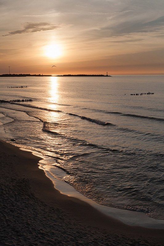 пионерский, балтийское море, калининграсдкая область ***photo preview
