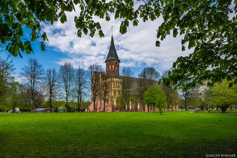 калининград, россия, собор, весна, город, архитектура, kaliningrad, russia, cathedral, spring, city, architecture Кафедральный собор Калининграда 1photo preview