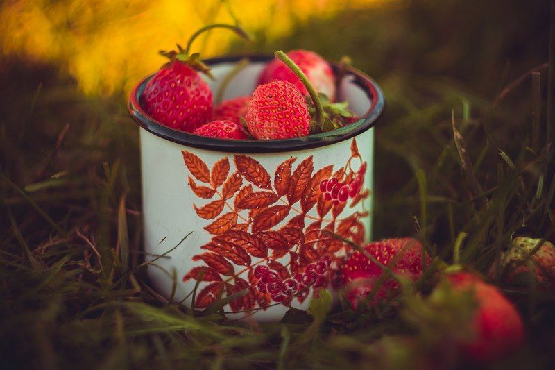 лето, клубника, ягоды, гелиос 44-2, деревня Дары летаphoto preview