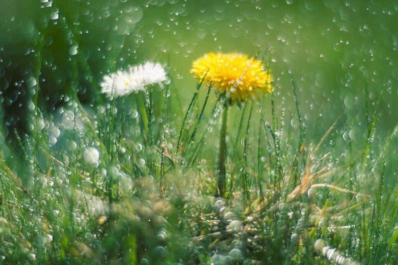 С милым и под дождём райphoto preview