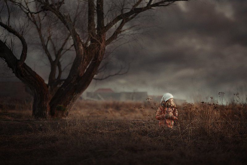 Перед грозойphoto preview