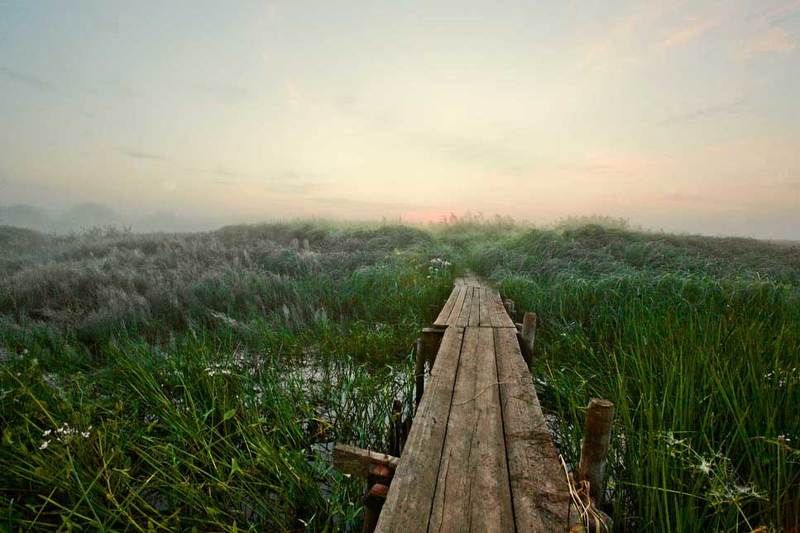 Утро...photo preview