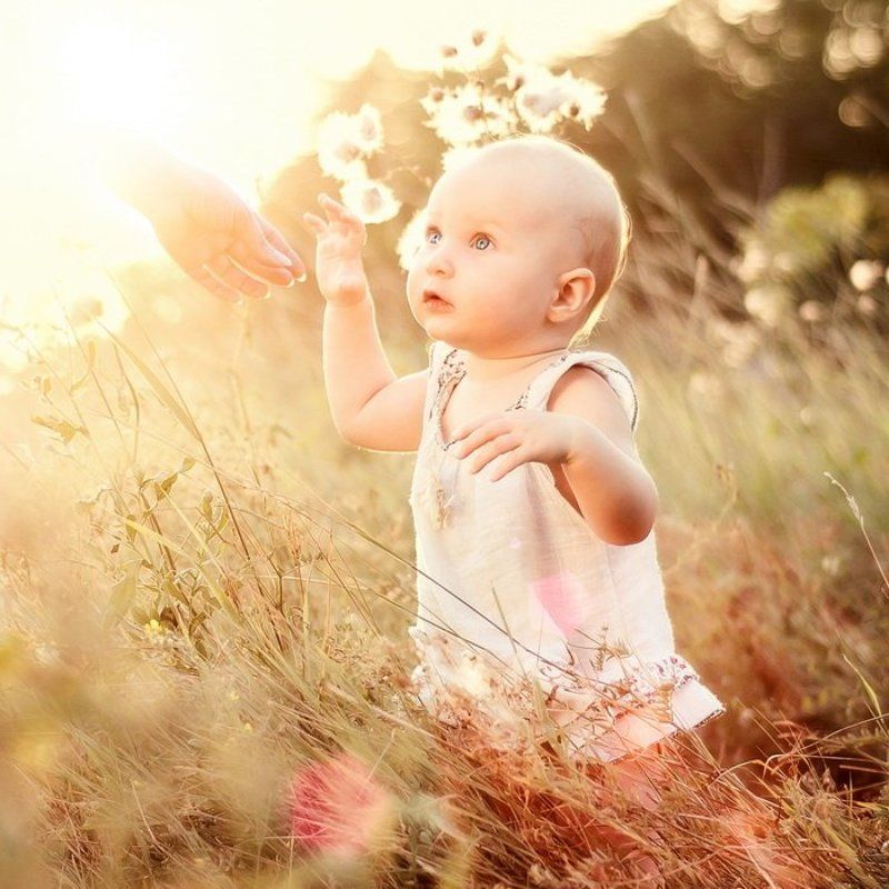 Мираphoto preview