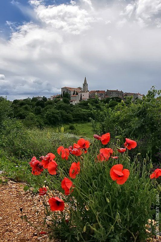 Bale. Хорватия.photo preview