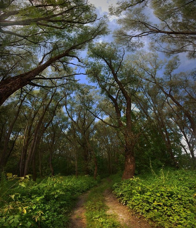 В стране великановphoto preview