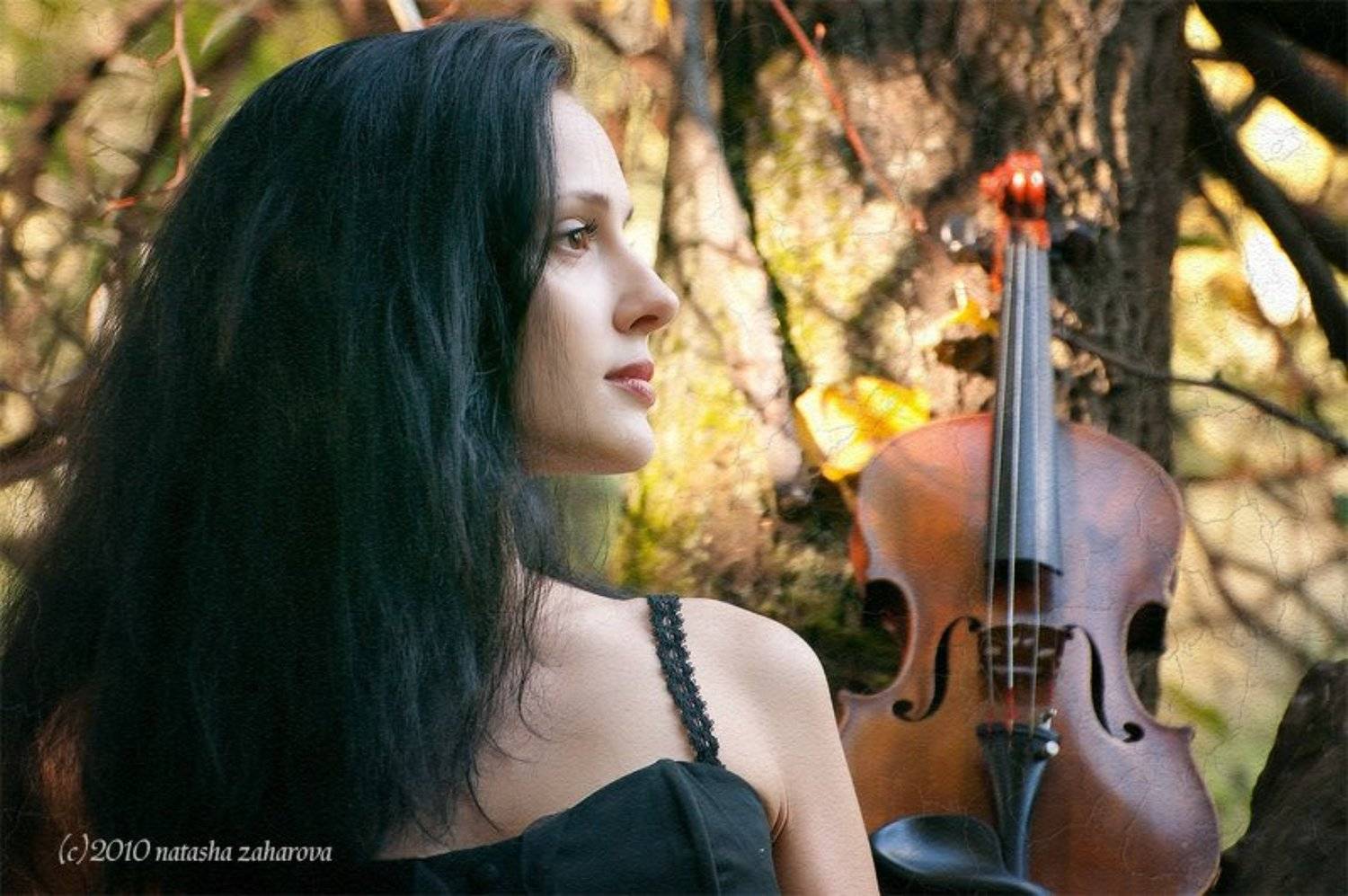 Осенняя скрипка.... Автор: Наталья Захарова , Наталья Захарова