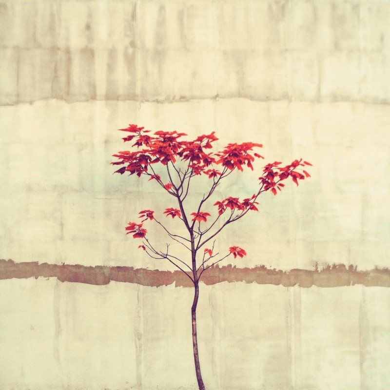 Autumn and the cityphoto preview