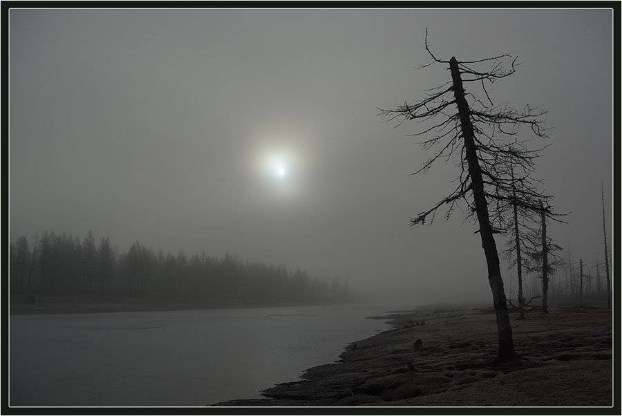 Звезда по имени Солнце. Автор: Солодухин Виктор солнце, тайга, река, предзимье, север, Солодухин Виктор