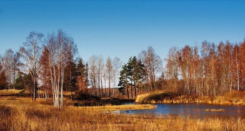 perviji zamorozki...photo preview