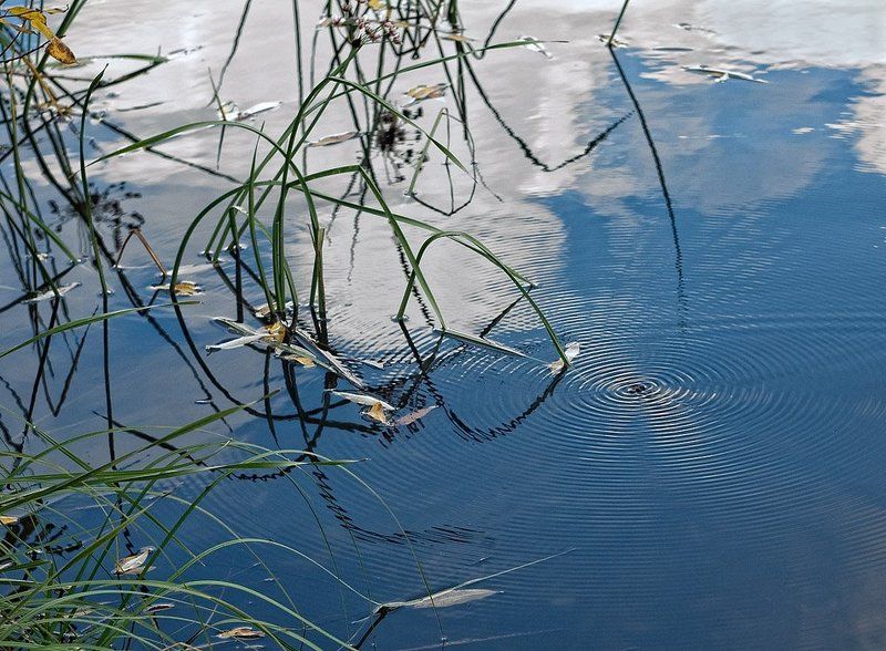 вода, небо, облака, муха Когда безумно хочется жить.photo preview