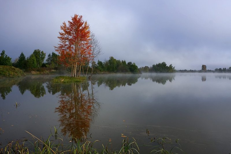 осень, туман Когда уходит туманphoto preview