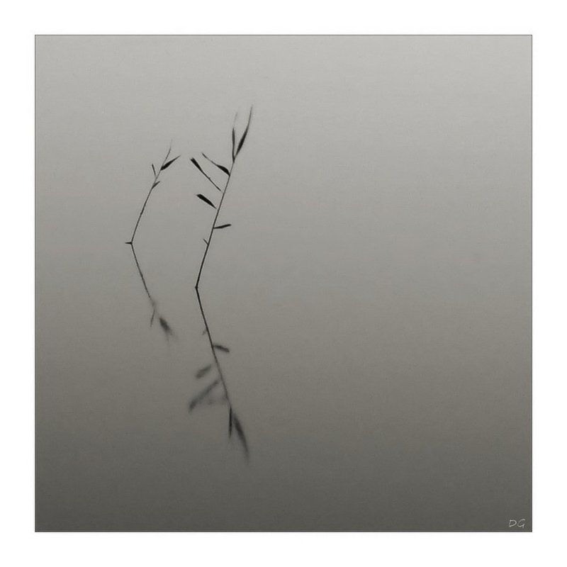 вода, озеро, минимализм Танцы на воде ... (Красота в простом)photo preview