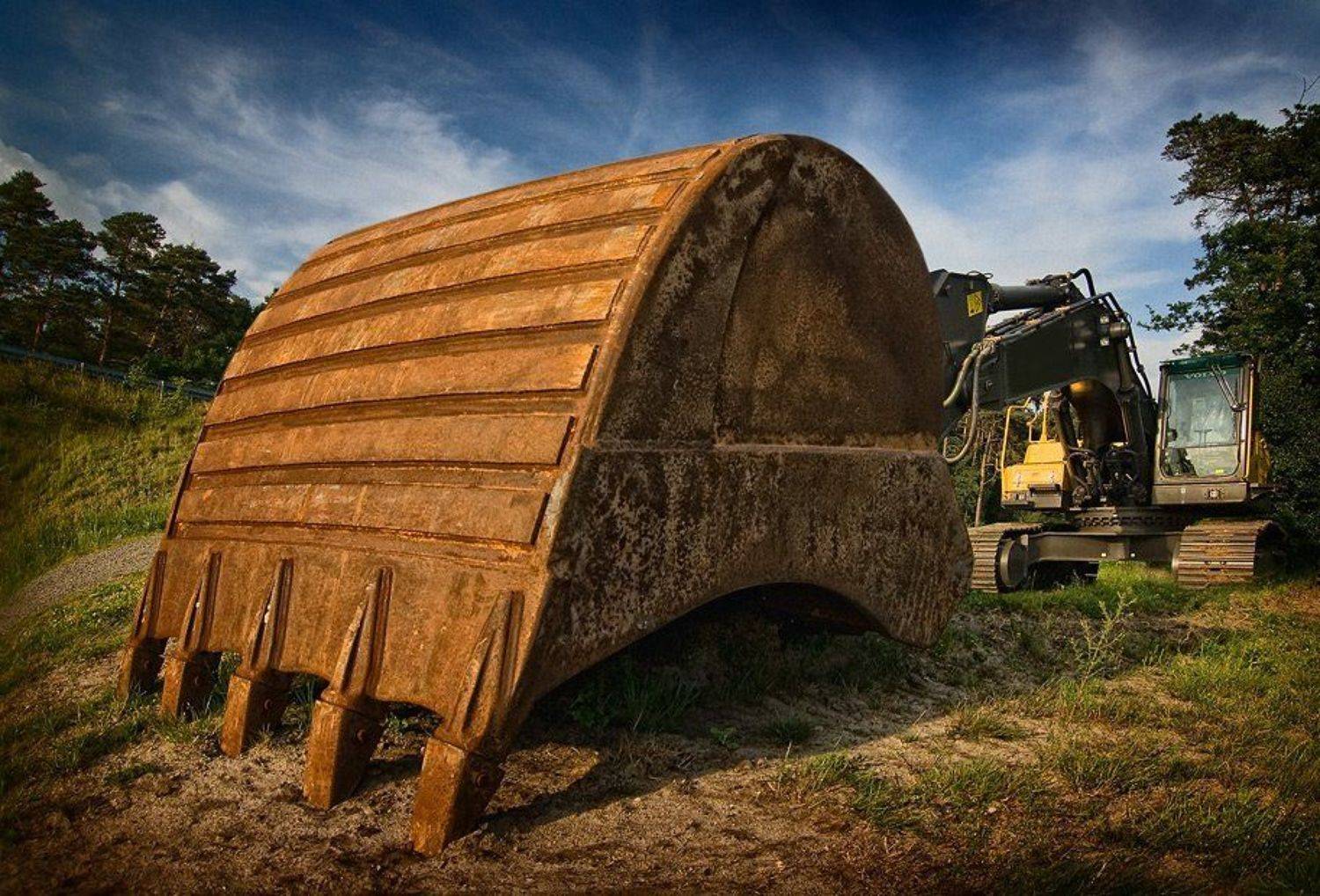 Полет шмеля июньским вечером. Автор: Андрей Neufeld , Андрей Neufeld