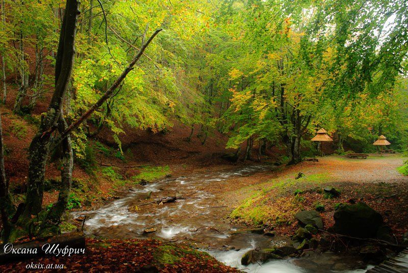 первая осеньphoto preview