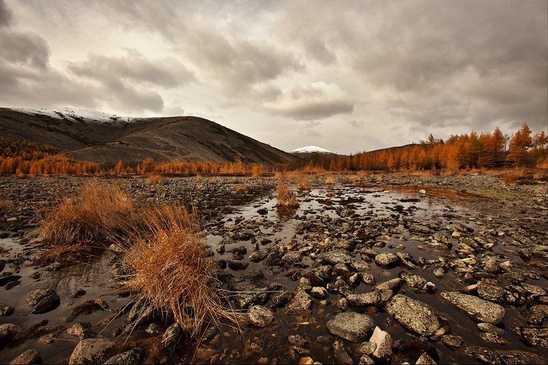 ...неслышная поступь зимыphoto preview