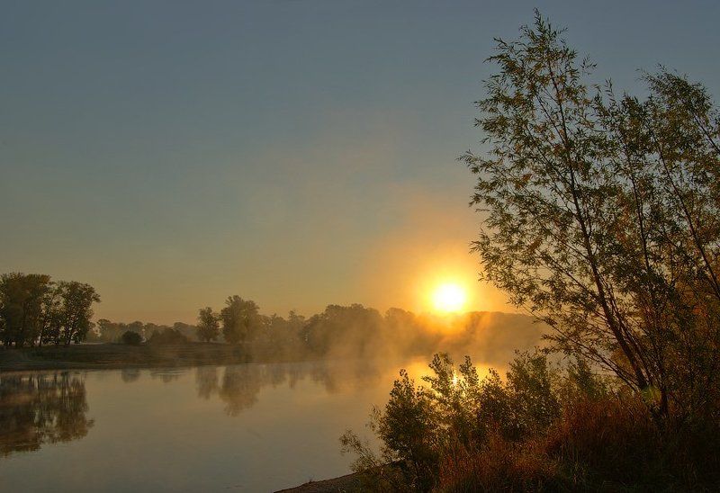 утро, река, восход, туман Утро. Сегодняphoto preview
