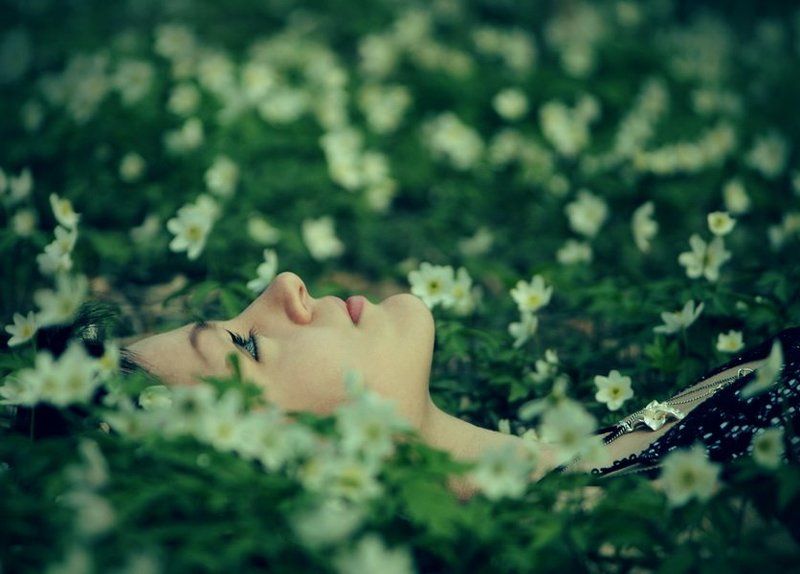 Пробуждениеphoto preview