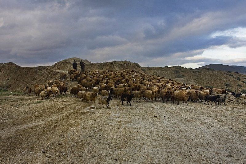 Лекарство от бессонницыphoto preview