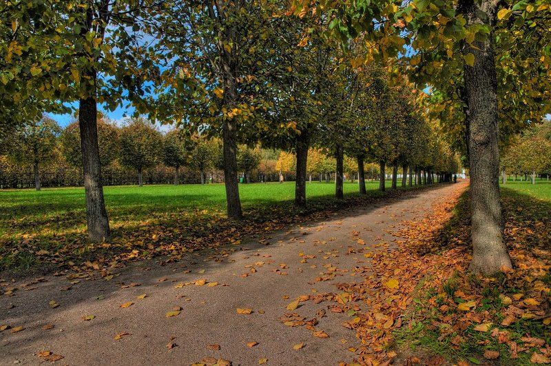 осень Осень в паркеphoto preview