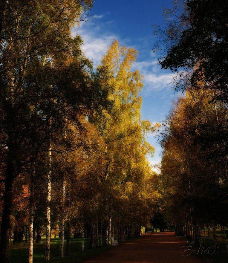 Осень. Автор: Малыш осень, парк, пейзаж, природа, Малыш