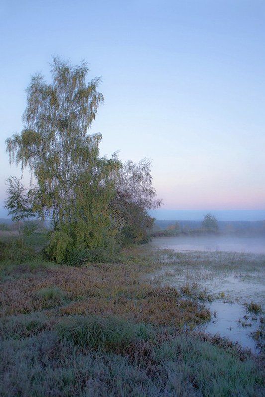 ...Уж небо осенью дышало...photo preview