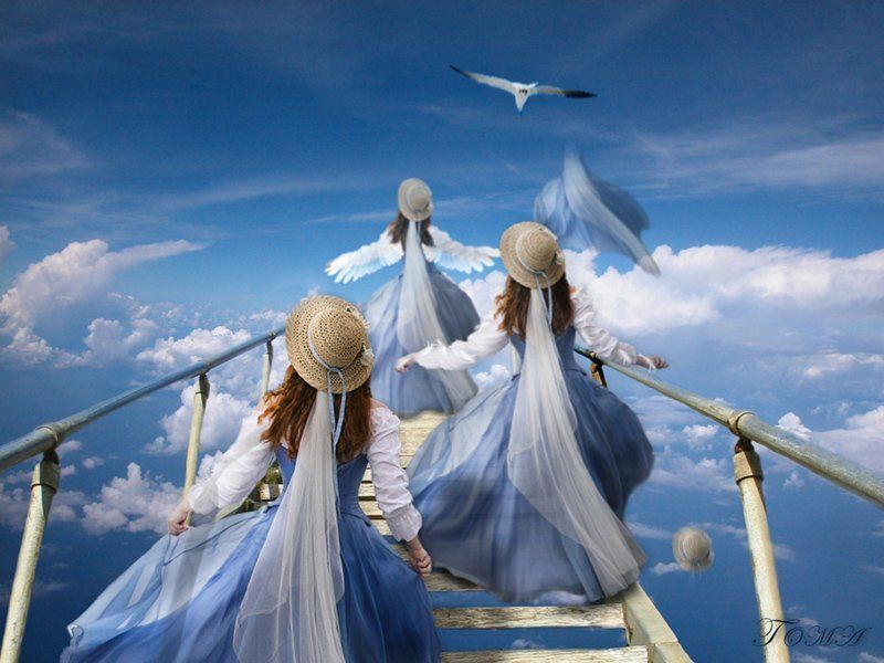 Желание свободыphoto preview