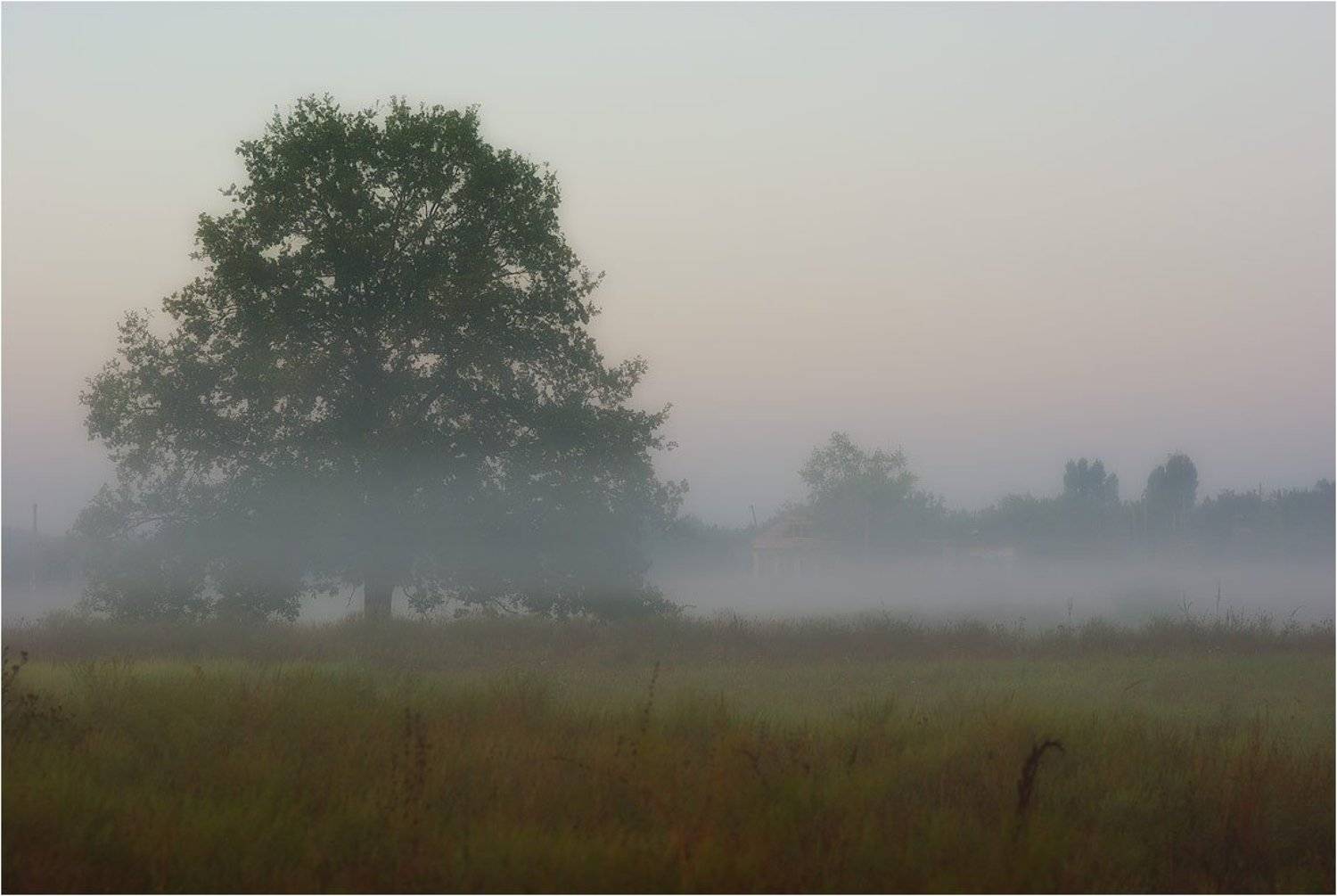 , Сергей Павлов