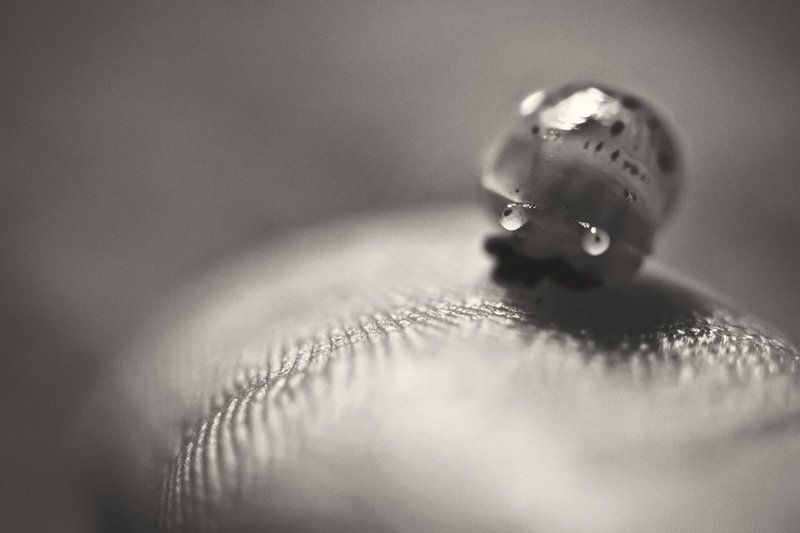 маленькими глазами на большой мирphoto preview