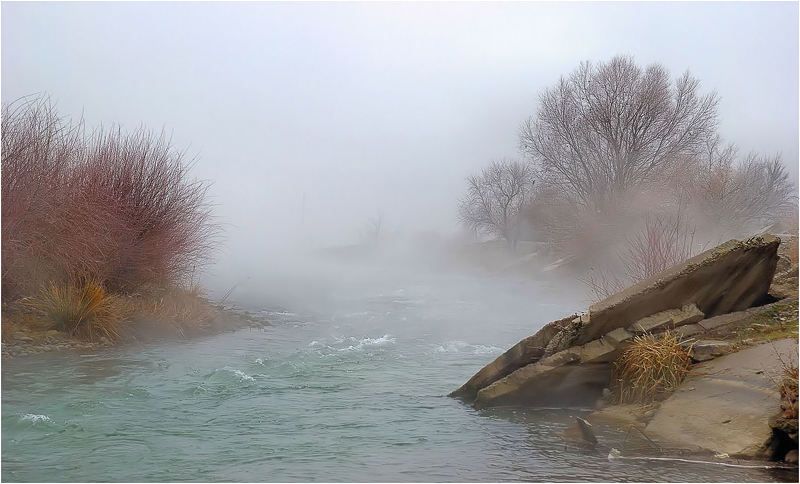 природа Приту...манило...photo preview