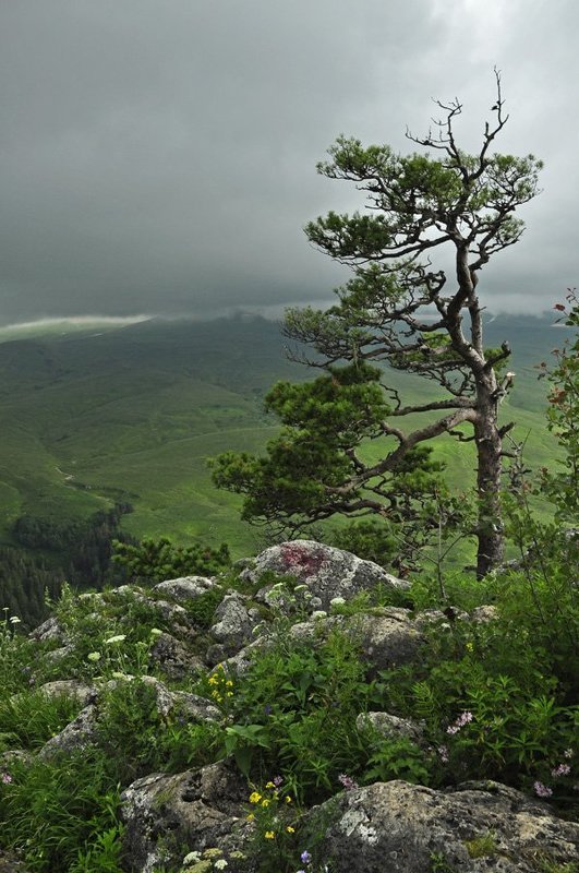 упираясь в облакаphoto preview