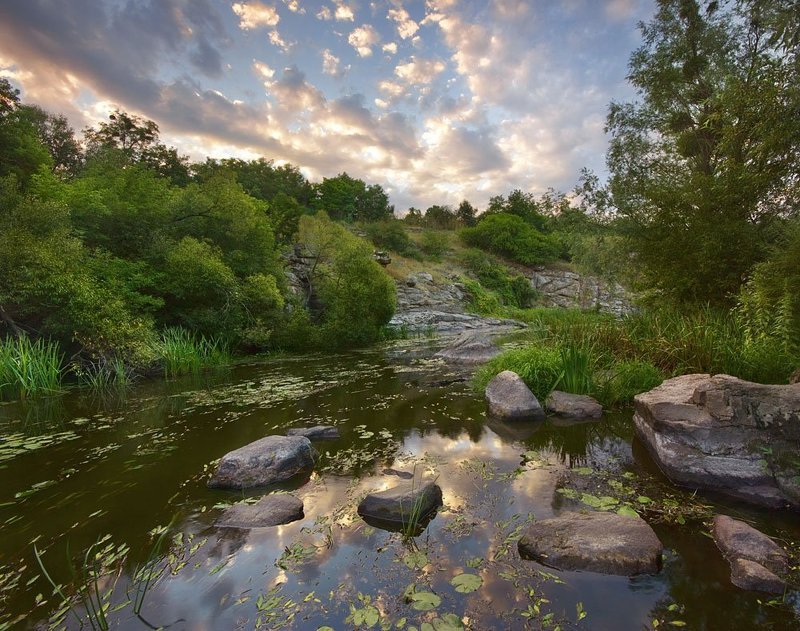 буки, горный тикич р. Горный Тикичphoto preview