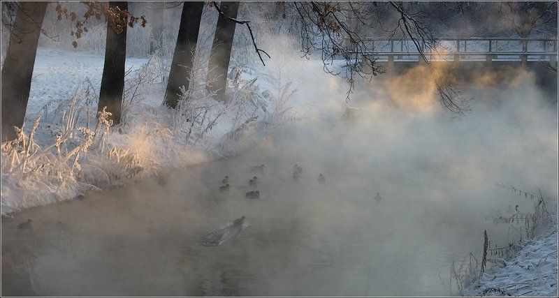 Из жизни маленькой речкиphoto preview