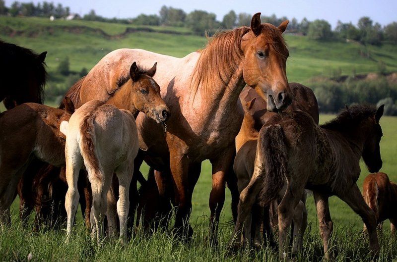 Детский садphoto preview