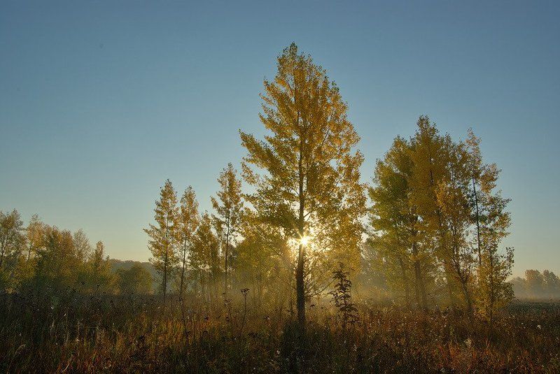 Осенний воздухphoto preview