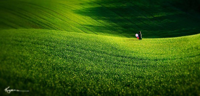 море...photo preview